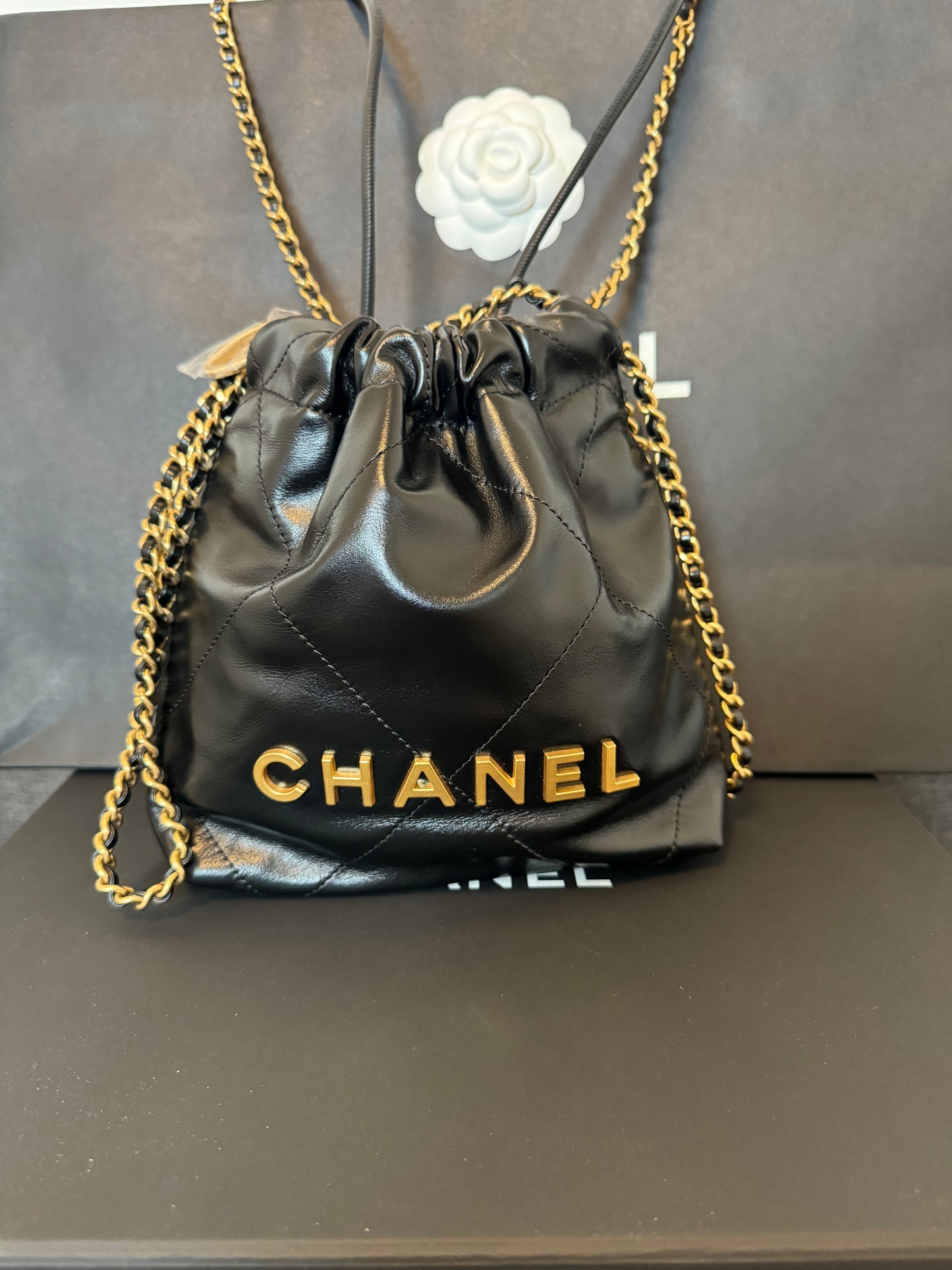 New Chanel 22 mini