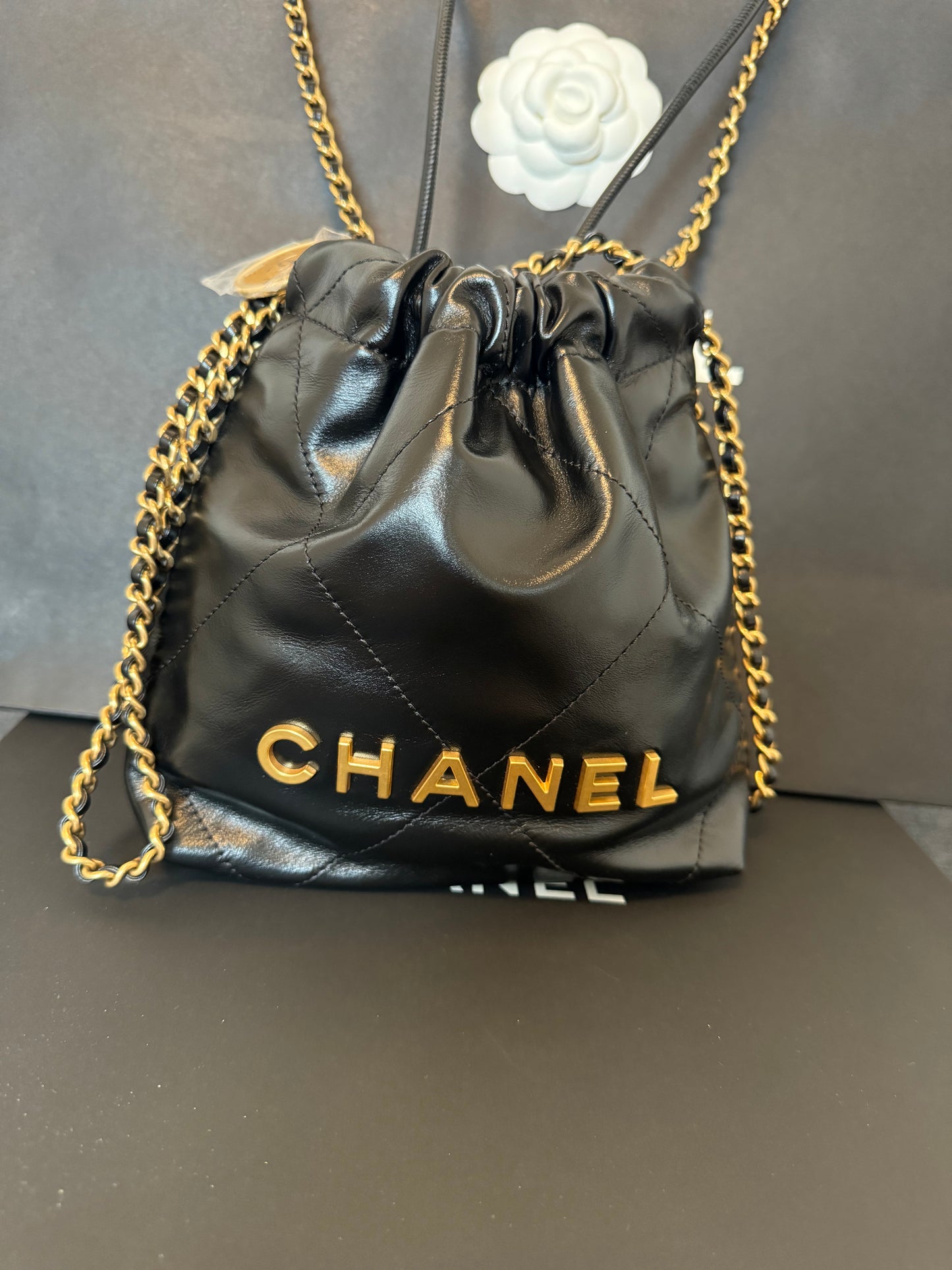 New Chanel 22 mini