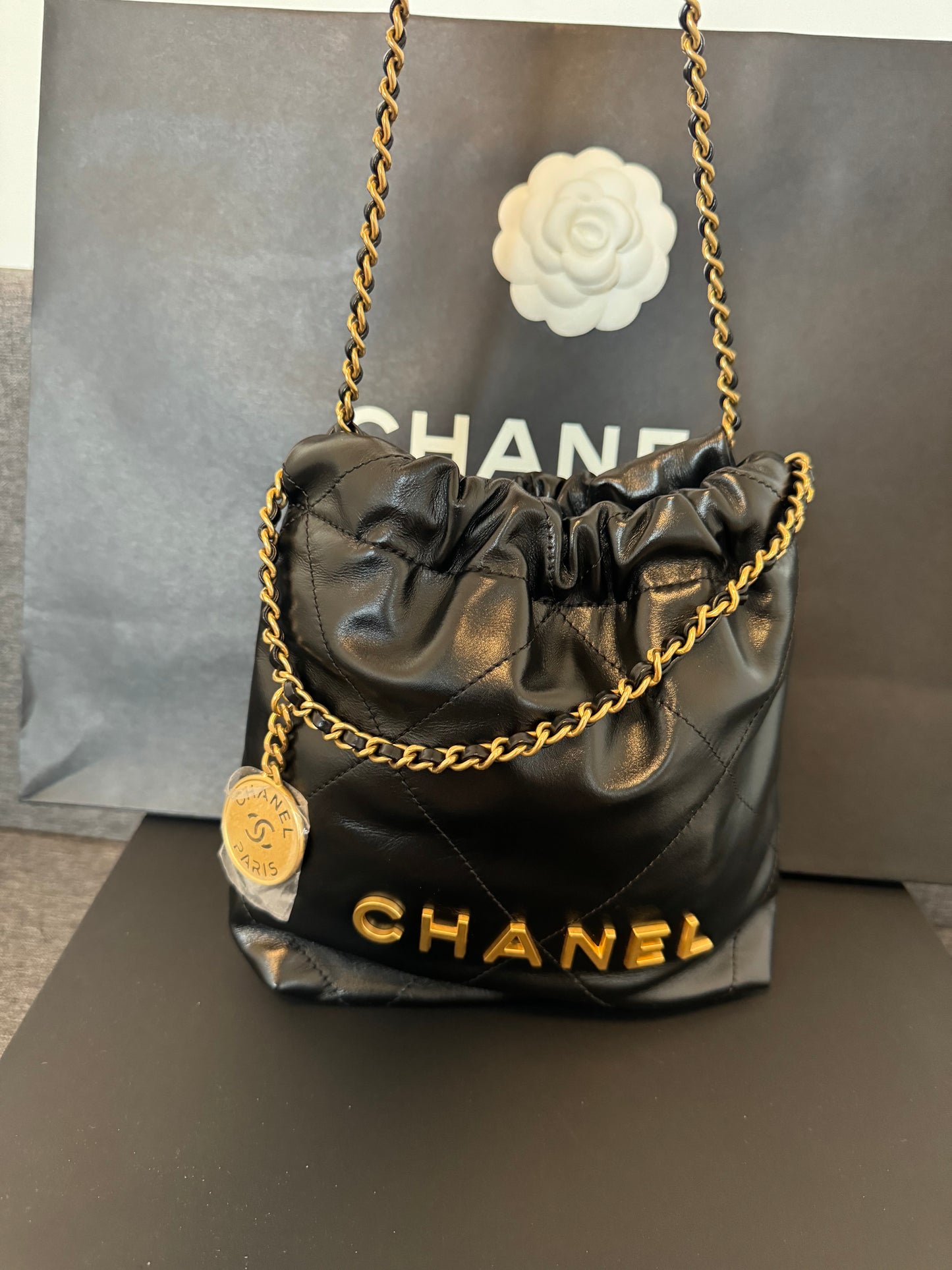 New Chanel 22 mini